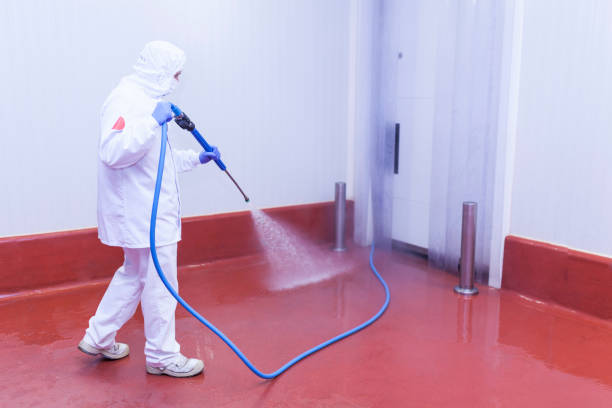 Best Restaurant Pressure Washing  in New Mford, IL